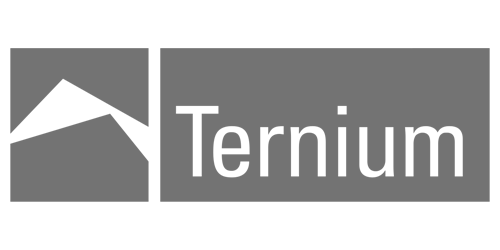 Ternium logo